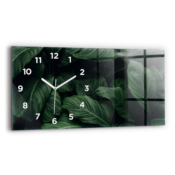 Üvegóra vízszintesen 60x30 Trópusi monstera