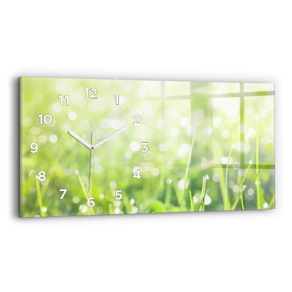 Vízszintes üvegóra 60x30 Zöld fű