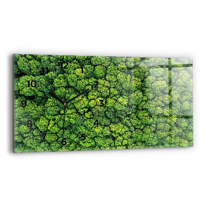 Üvegóra vízszintesen 60x30 Erdő madártávlatból