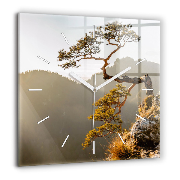 Szögletes fali üvegóra 60x60 Fa a hegyekben