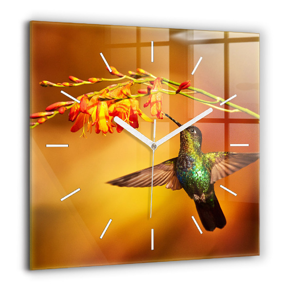 Szögletes üvegóra 60x60 Kolibri madár
