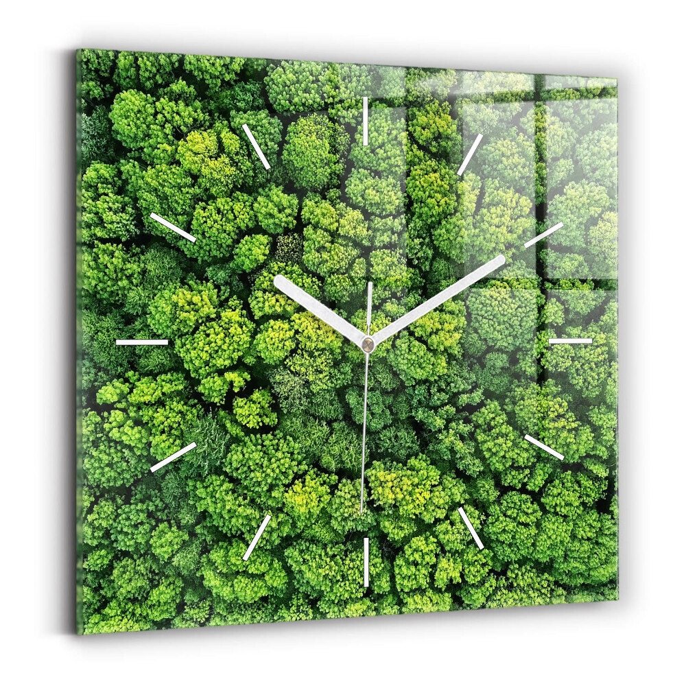 Szögletes fali üvegóra 60x60 Erdő felülről