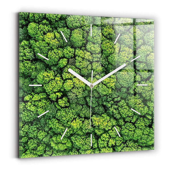 Szögletes fali üvegóra 60x60 Erdő felülről