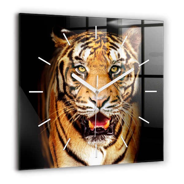 Négyzet alakú üvegóra 60x60 Vad szemű tigris