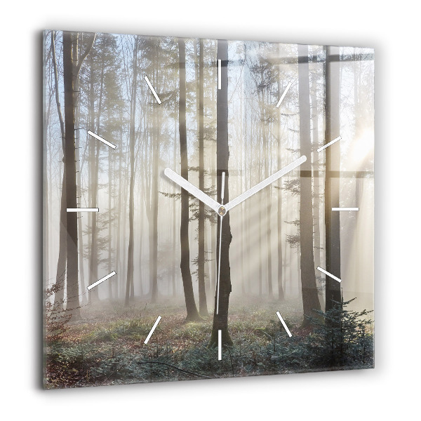 Szögletes fali üvegóra 60x60 Erdő ködben
