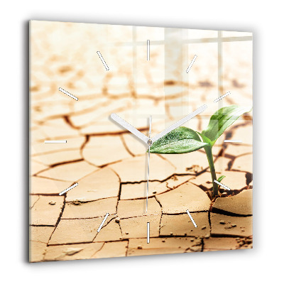 Szögletes üvegóra 60x60 Növény a száraz talajban