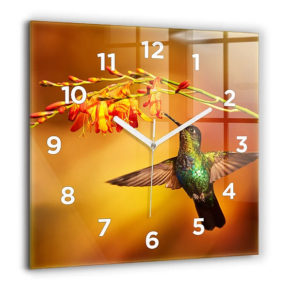 Szögletes üvegóra 60x60 Kolibri madár