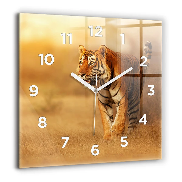 Négyzet alakú üvegóra 60x60 Vadászat Tigris