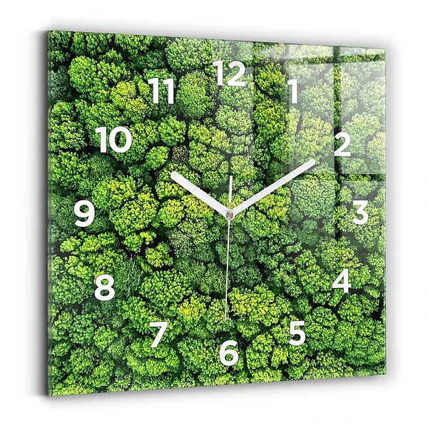 Szögletes fali üvegóra 60x60 Erdő felülről