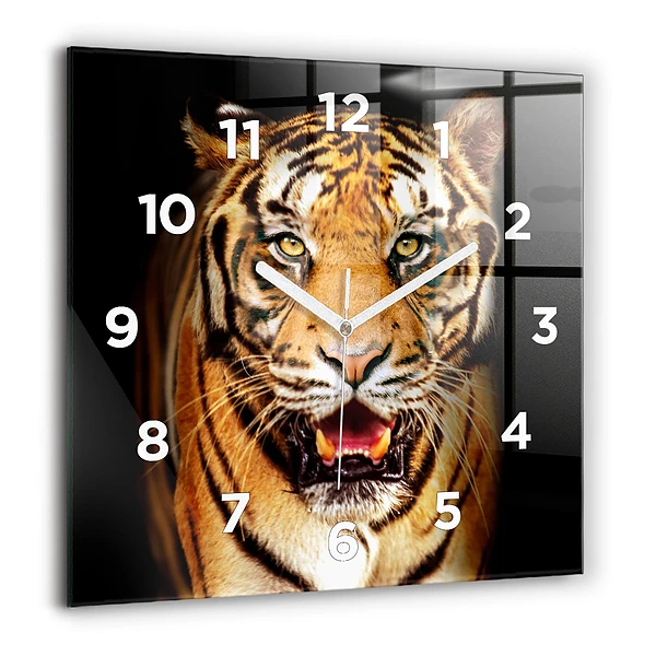 Négyzet alakú üvegóra 60x60 Vad szemű tigris