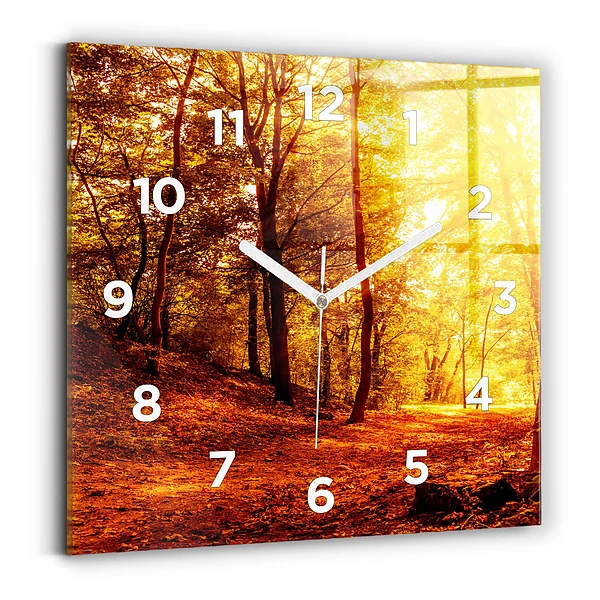 Szögletes fali üvegóra 60x60 Erdei táj a napsütésben