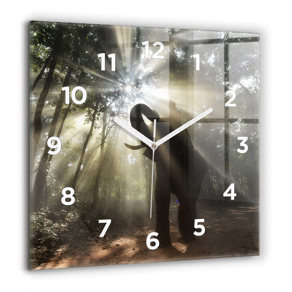 Szögletes fali üvegóra 60x60 Elefánt a dzsungelben