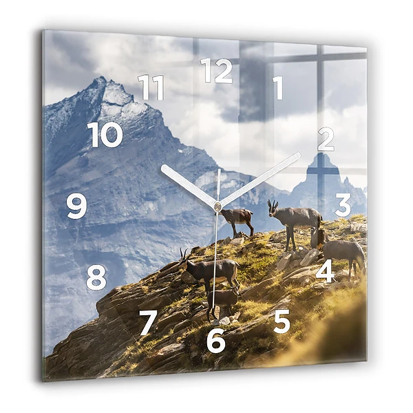 Négyzetes üvegóra 60x60 Kecske az Aosta-völgyben