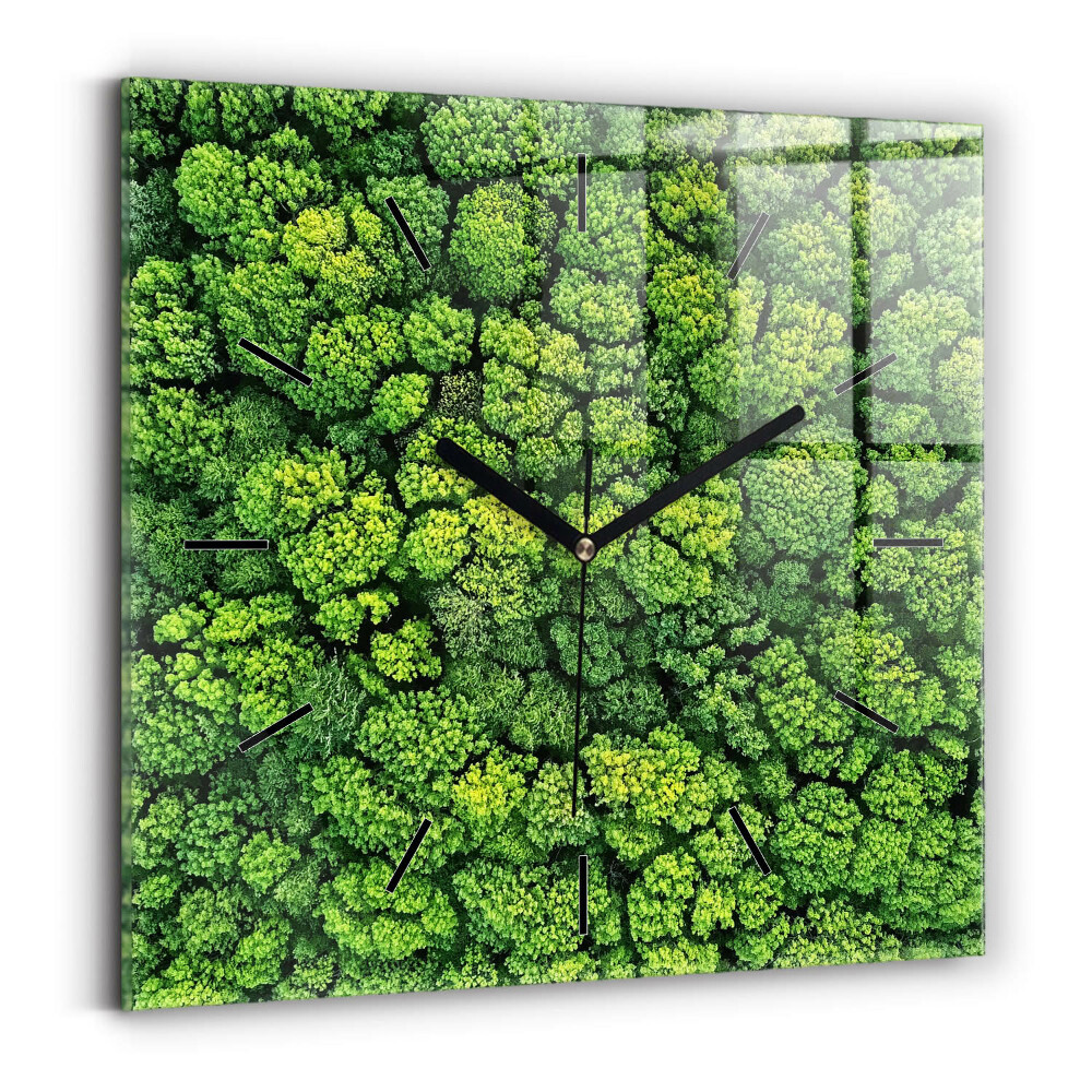 Szögletes fali üvegóra 60x60 Erdő felülről