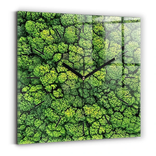 Szögletes fali üvegóra 60x60 Erdő felülről