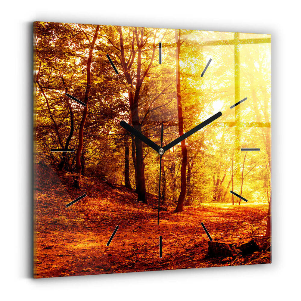 Szögletes fali üvegóra 60x60 Erdei táj a napsütésben