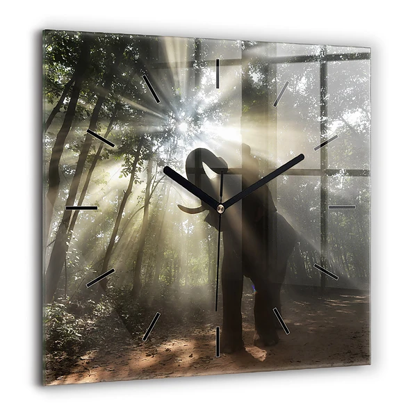 Szögletes fali üvegóra 60x60 Elefánt a dzsungelben