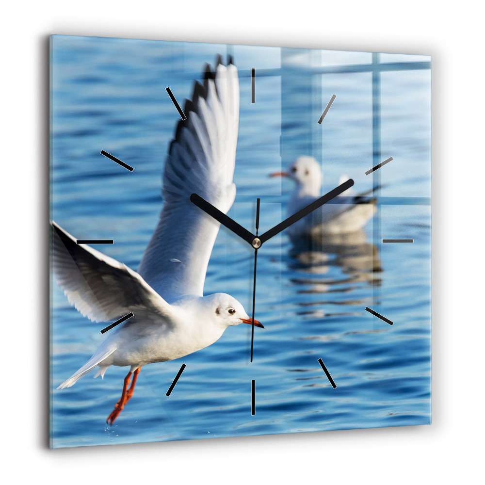 Szögletes üvegóra 60x60 Sirályok Gdyniában