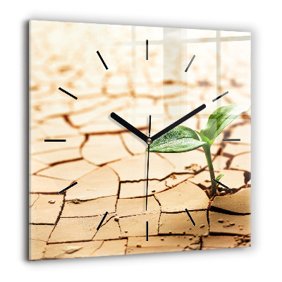 Szögletes üvegóra 60x60 Növény a száraz talajban