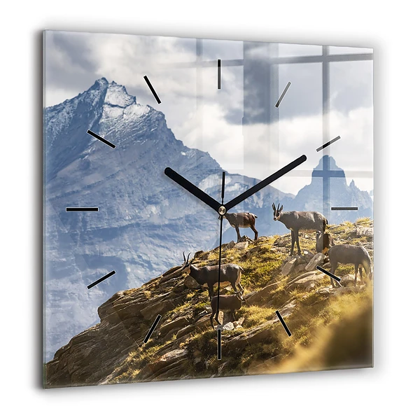 Négyzetes üvegóra 60x60 Kecske az Aosta-völgyben