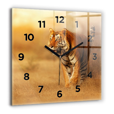 Négyzet alakú üvegóra 60x60 Vadászat Tigris