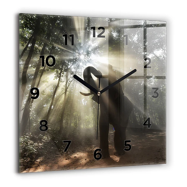Szögletes fali üvegóra 60x60 Elefánt a dzsungelben