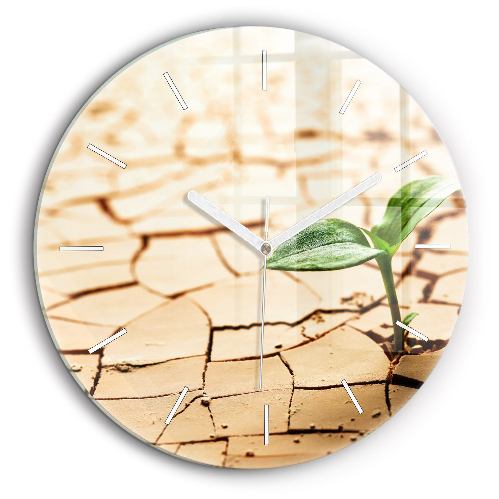 Kerek fali üvegóra 60 cm Növény a száraz talajban